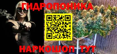 не бодяженный Будённовск