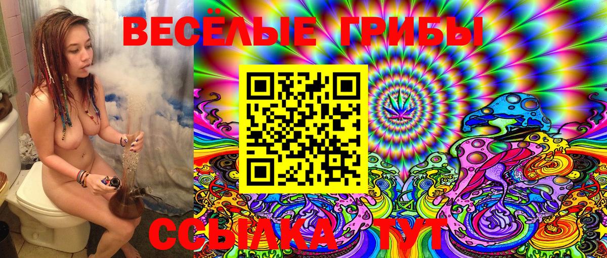 Галлюциногенные грибы Cubensis  Вход с VPN  купить наркоту  Заринск  Псилоцибиновые грибы мицелий 